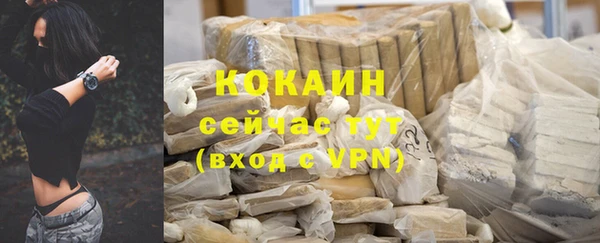 индика Баксан