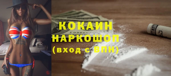 индика Баксан