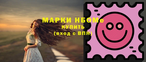 индика Баксан