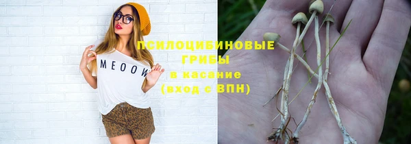 индика Баксан