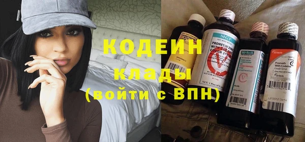 индика Баксан