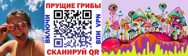 Галлюциногенные грибы Magic Shrooms  Кстово 